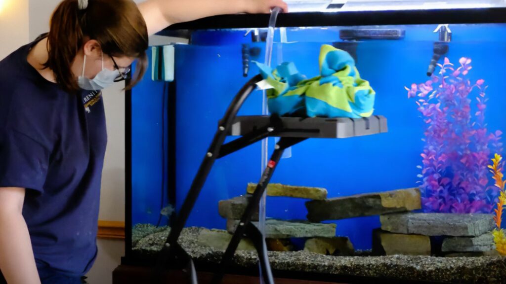 Role of Aquarium Services