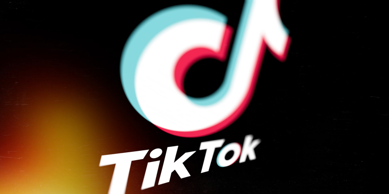TikTok Video Saver