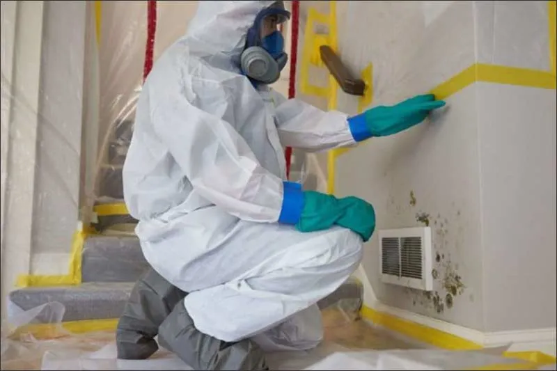 Mold Remediation