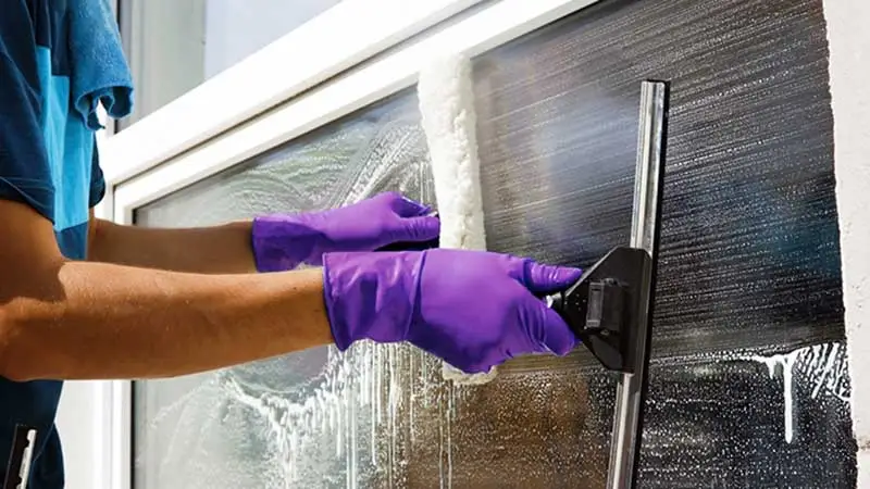 Professional Window Cleaning